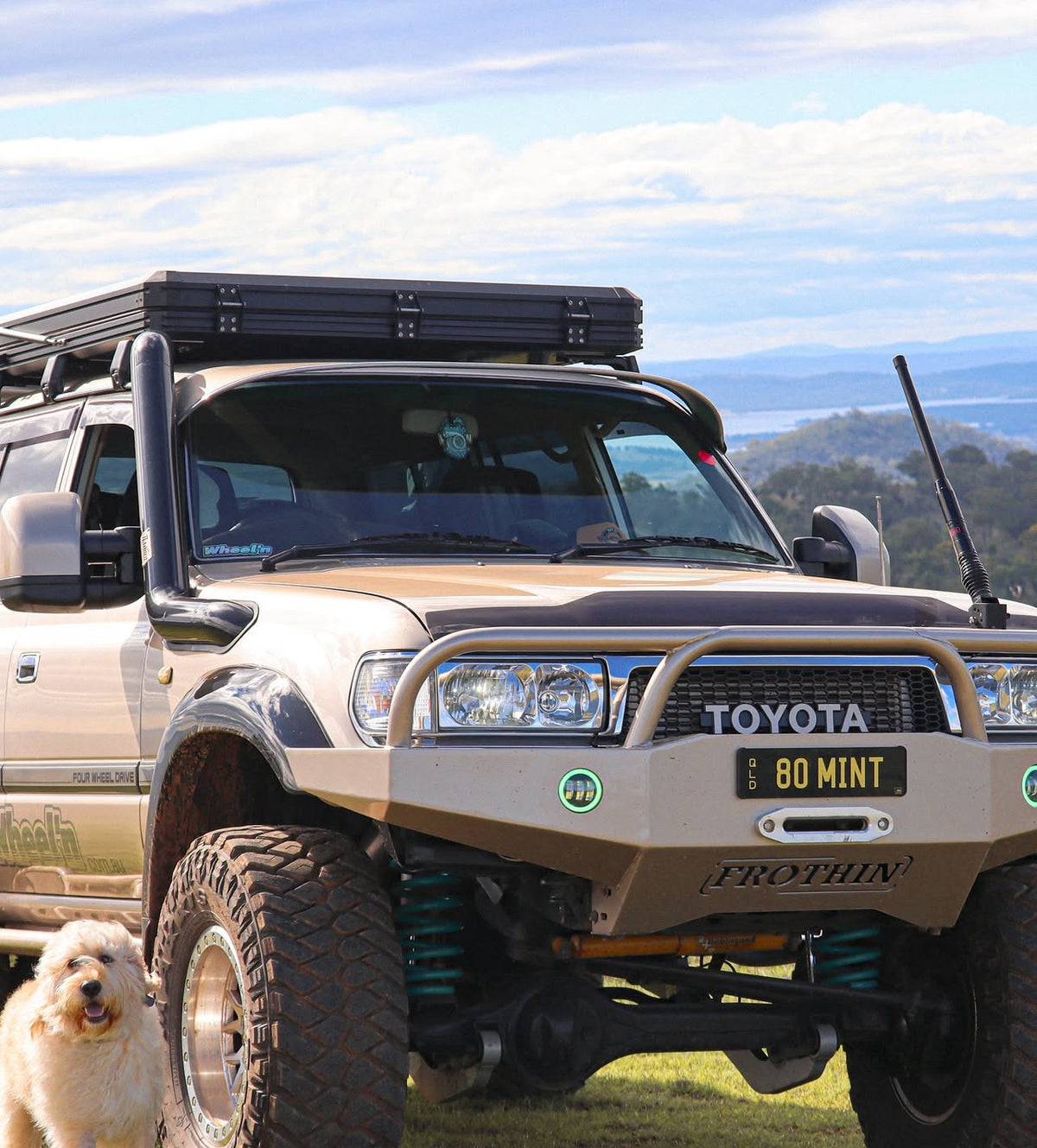 80 SERIES PRE RUNNER BAR